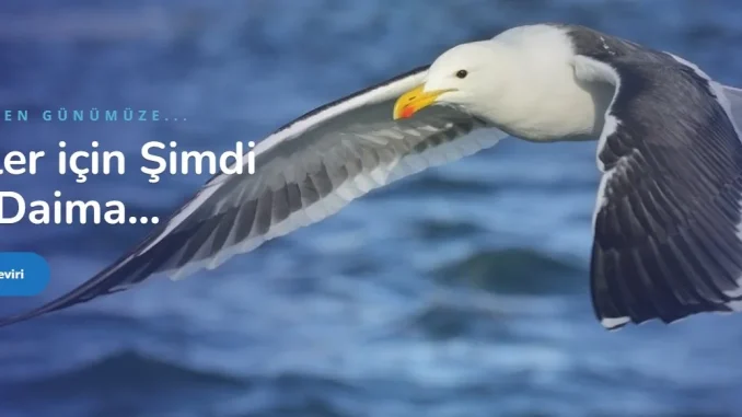okeanos-tercume-converted-from-jpg İşaret Dili Tercümanı ve Özbekçe Türkçe Çeviri - Okeanostercume.com.tr