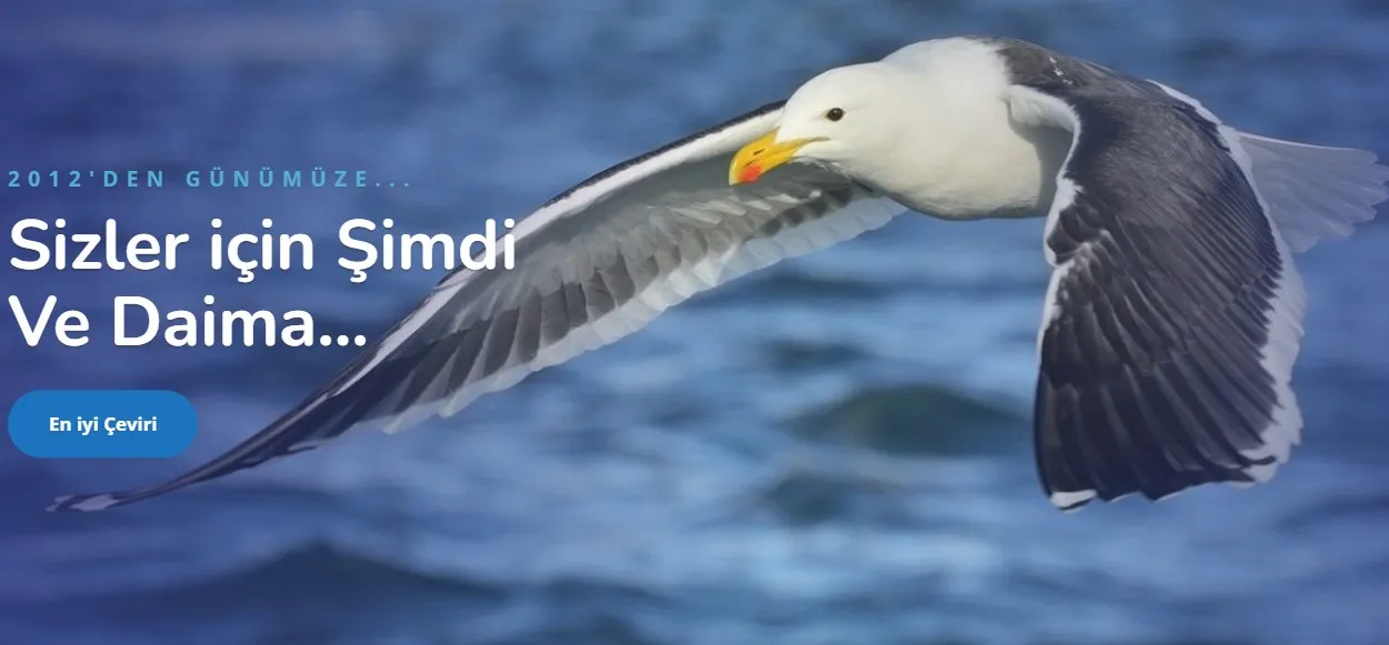 İşaret Dili Tercümanı ve Özbekçe Türkçe Çeviri - Okeanostercume.com.tr
