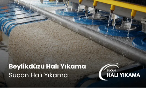 Beylikdüzü Halı Yıkama