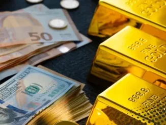 Döviz Yatırımı Nasıl Yapılır?